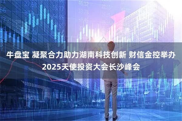 牛盘宝 凝聚合力助力湖南科技创新 财信金控举办2025天使投资大会长沙峰会