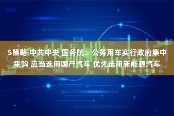 5策略 中共中央 国务院：公务用车实行政府集中采购 应当选用国产汽车 优先选用新能源汽车