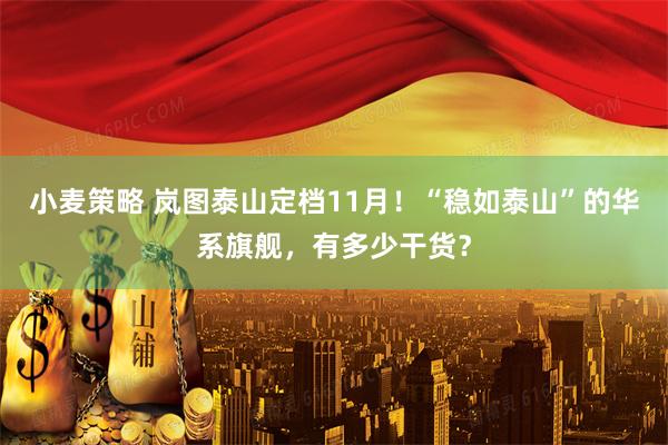 小麦策略 岚图泰山定档11月！“稳如泰山”的华系旗舰，有多少干货？